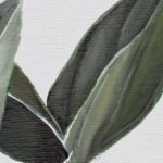 Carta Da Parati Medinilla - Inkiostro Bianco - immagine 3