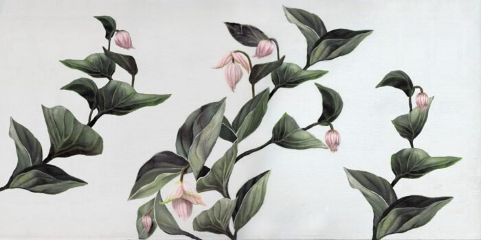 Carta Da Parati Medinilla - Inkiostro Bianco - Image 2
