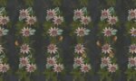 Lixus Wallpaper - Inkiostro Bianco - Image 5