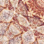 Carta Da Parati Persian sand 2018 - Inkiostro Bianco - immagine 2