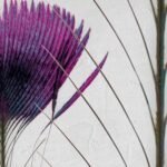 Pluma De Pavo 2018 Wallpaper - Inkiostro Bianco - Image 3