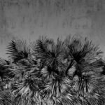 Carta Da Parati Find me - Inkiostro Bianco - Image 3