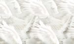 Wings Wallpaper - Inkiostro Bianco - Image 3