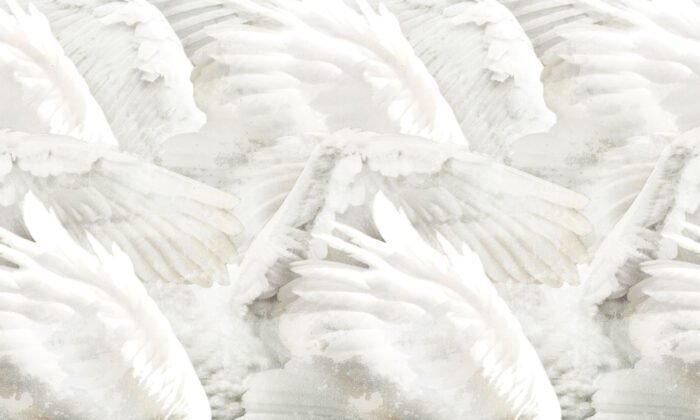 Wings Wallpaper - Inkiostro Bianco - Image 3