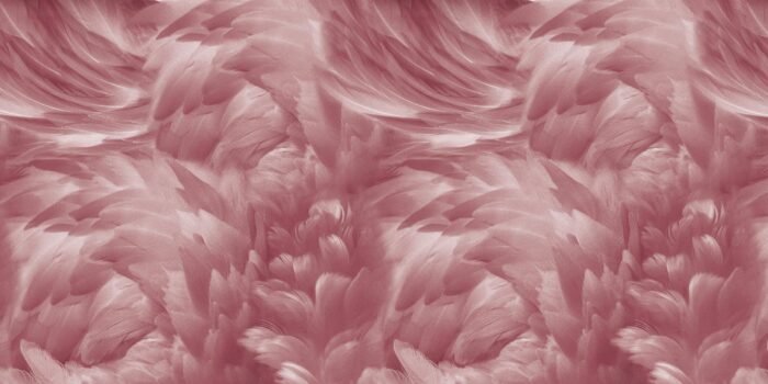 Wings Wallpaper - Inkiostro Bianco - Image 4